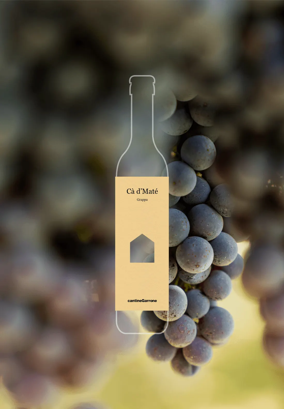 bottiglia grappa Cà d’Maté