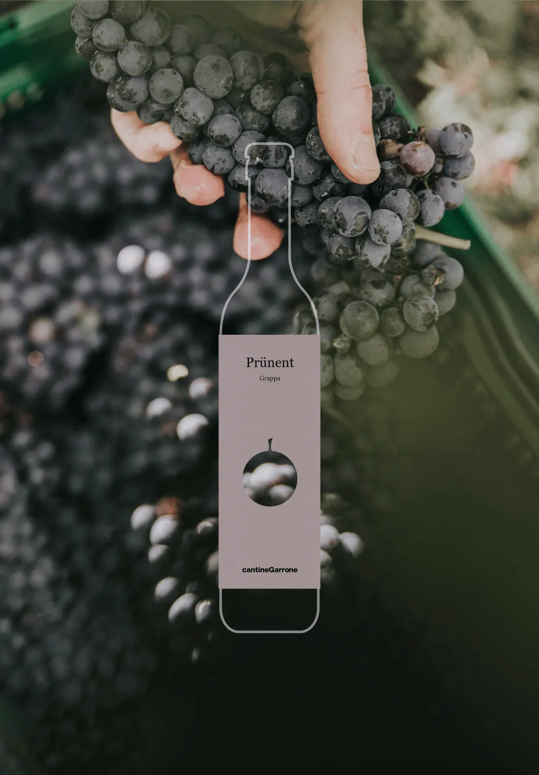 bottiglia grappa Prünent