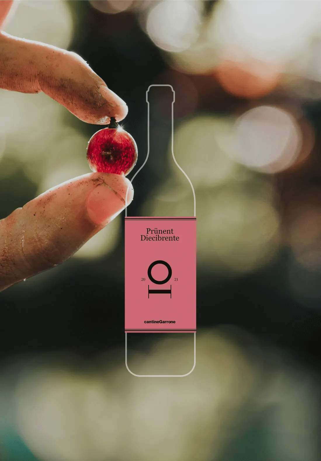 bottiglia vino Prünent Diecibrente