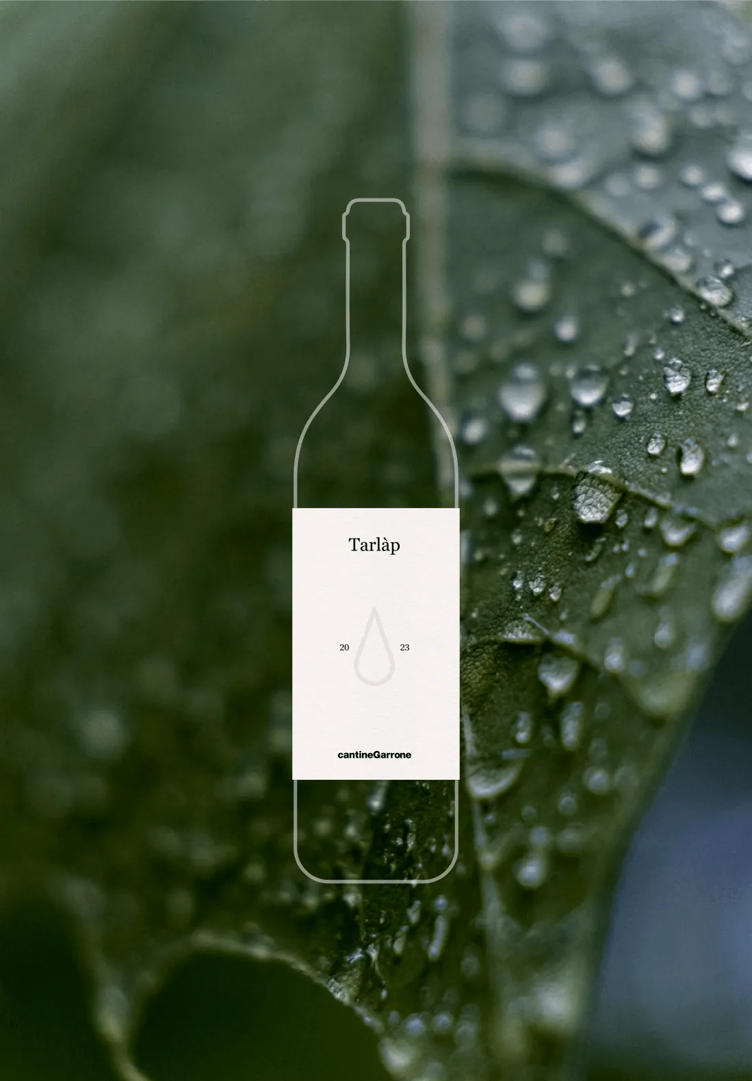 bottiglia vino Tarlàp